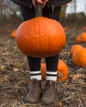 Child standing with a pumkin in suede shoes in a field with pumkins