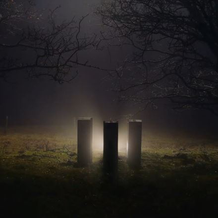 View of three IMBOXs standing next to eachother in the forrest at night with spotlight behind them
