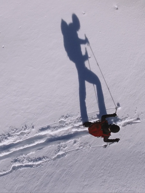 Person walking with skies in the snow